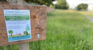 A new approach to verge management
