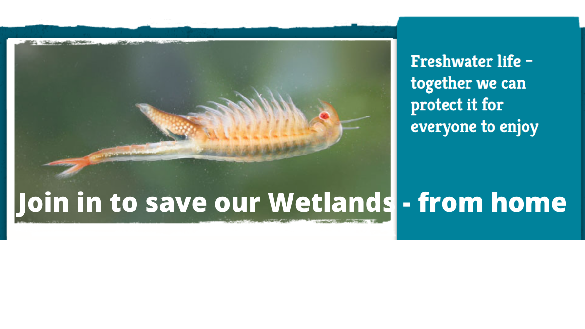 Freshwater header