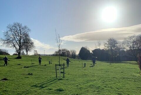 Queen Elizabeth Circle Recreation Ground Planting