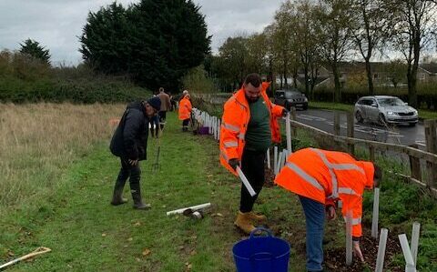 The Triangle Planting Project