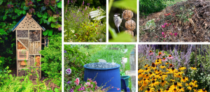 Thame Wild Gardens